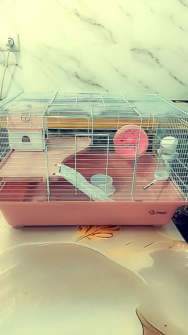 кара суу уй сатылат: Большая двухэтажная клетка + 1 хомячок всего за 1500 сом. любая на — 5