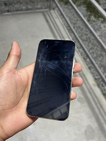 apple iphone 12 mini: IPhone 12 Pro, Серебристый — 9