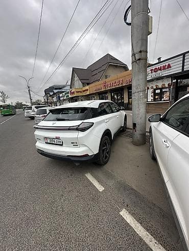 BYD : 2022 г., Электромобиль, Кроссовер — 3
