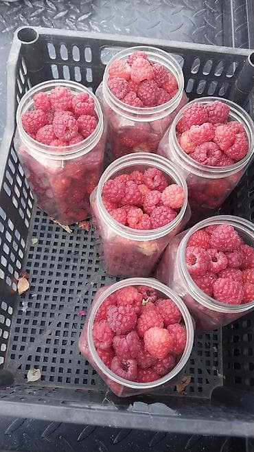 Малина: Малина — 6