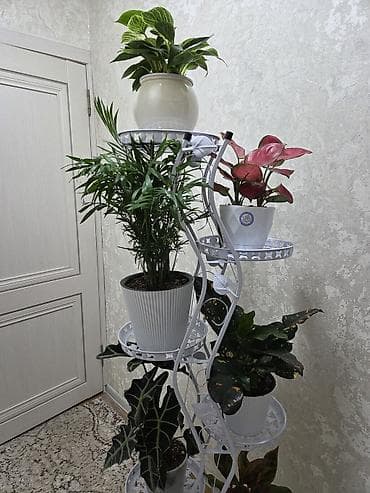 Мебель: Полка, этажерка для цветов, Новый, Железо, Самовывоз — 7