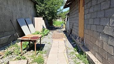 ысык куле: 7 соток, Айыл чарба үчүн, Кызыл китеп — 2