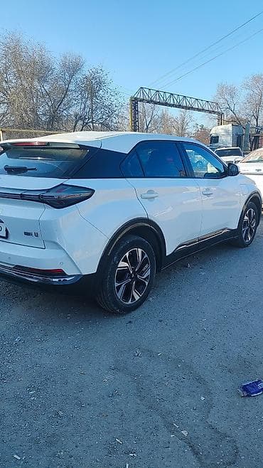 сетка 3д: BYD : 2022 г., Электромобиль, Кроссовер — 3