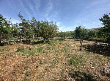 Земельные участки: 5 соток, Для строительства, Красная книга — 1