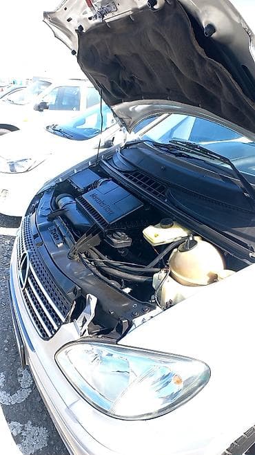 Mercedes-Benz Vito: 2004 г., 2.2 л, Автомат, Дизель, Минивэн