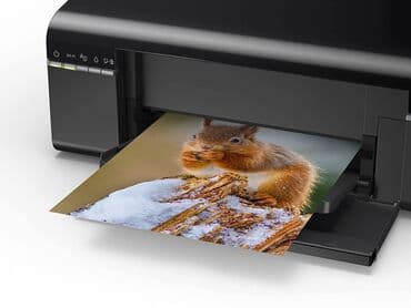документ сканеры для проекторов eloam: Принтер Epson L805 Размеры (Д х Ш х В), мм: 289[х537х187 Комплект  — 2