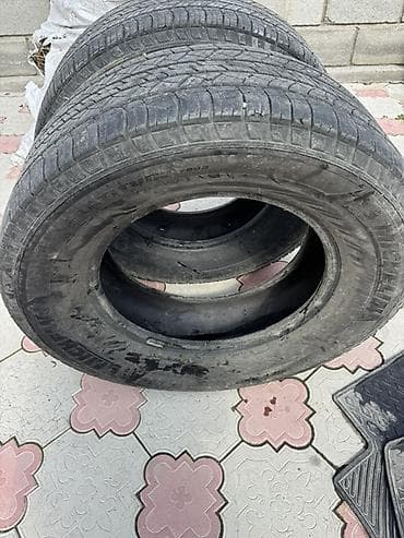 пидбайк 125 кубов: Шины 265 / 65 / R 17, Всесезонная, Пара, Внедорожные (АТ/МТ), Michelin — 5