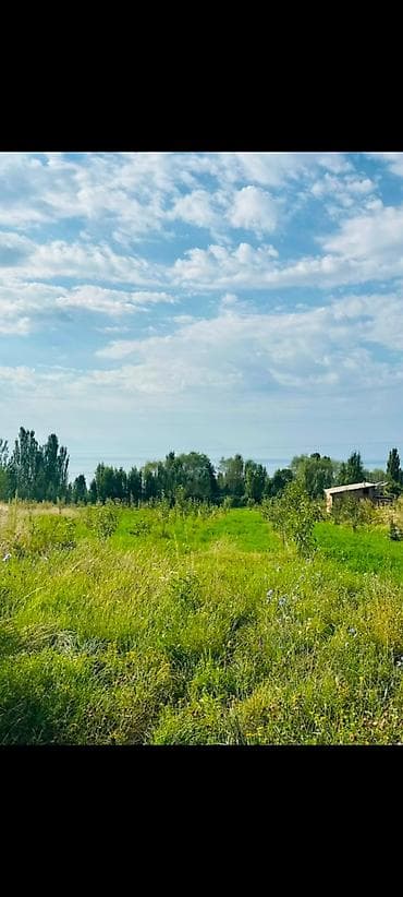 бишкек участка: 36 соток, Курулуш, Кызыл китеп — 3