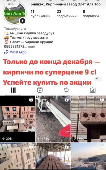 Пустотелый, дырчатый, Жженый кирпич, Полублок, 250×120×90