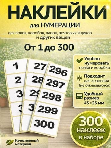 вкладыши и наклейки: Наклейки для нумерации 1–300 - Набор из 300 отдельных наклеек с — 1