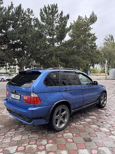 BMW X5: 2003 г., 4.4 л, Бензин