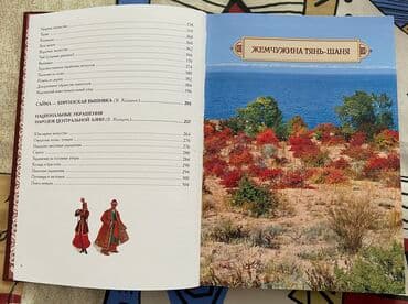 журналы об искусстве: Кыргызская литература, 11 класс, Новый, Самовывоз — 10