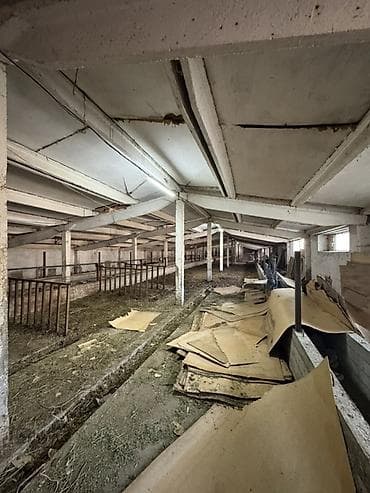 продою дом: Кошара, 100 соток, Действующий, С оборудованием, Электричество, Канализация, Отопление — 10