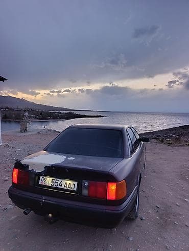 Audi 100: 1991 г., 2.3 л, Механика, Бензин, Седан — 3