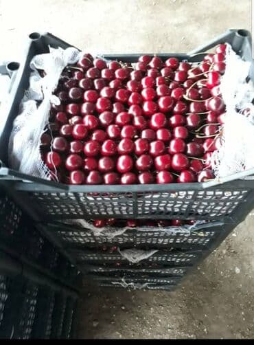 старый буфет: Пластиковый Ящик — 5