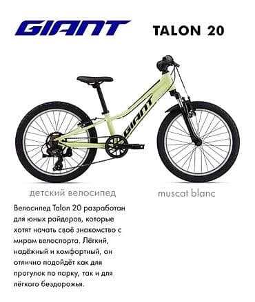 рама от камы: Детский велосипед, 2-колесный, 9 - 13 лет — 1