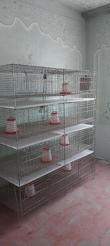 pro plan: Многоярусная клеточная батарея для цеплятперепелов — 3