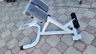 Спортивные сумки: Силовой тренажер, Гиперэкстензия, Для спины — 3