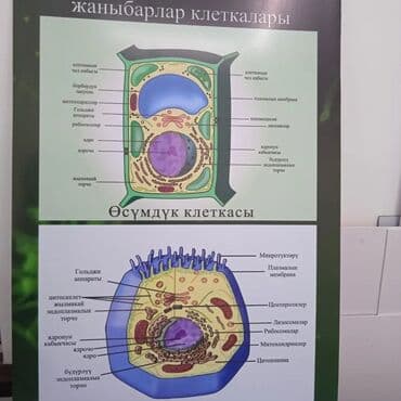 рекламные надписи: #таблички #стенды #буквы #наклейки #лайтбоксы #буквы #на авто — 3