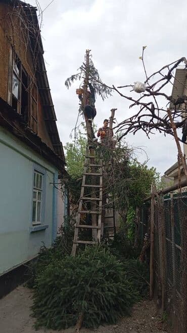 оборудование вулканизация: Спил деревьев любой сложности отун резка вырубка звоните пищите отун — 3