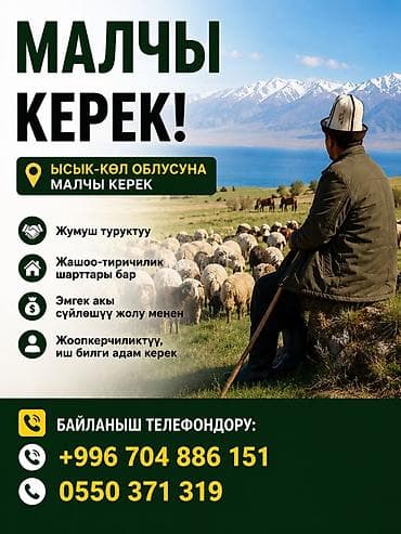 жумуш ремонт: Талап кылынат Чабан — 1