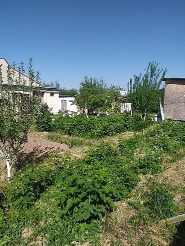 пол дома: 8 соток — 6