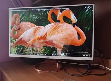 акустические системы monitor audio с пультом ду: Монитор, Б/у, 32" - 33" — 1