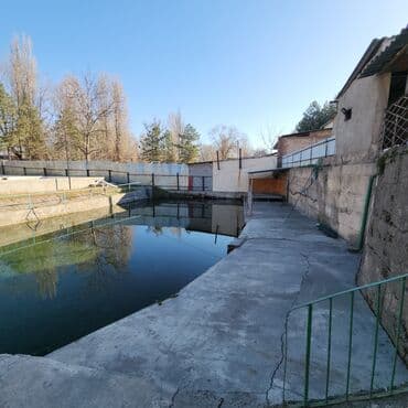 жер участок ак ордо: Үй, 220 м², 7 бөлмө, Менчик ээси, Евро оңдоо — 9