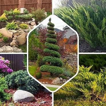 hp designjet: Дизайн, Проектирование | Офисы, Дома — 5