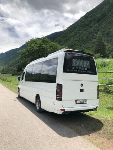 sprinter vip: Автобус, Mercedes-Benz, 2009 г., 3 л — 8