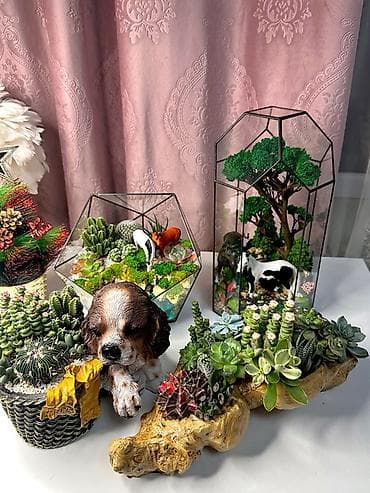 Маленькие зелёные миры 🌿
🎄 Для Нового года
📩 Уже можно бронировать