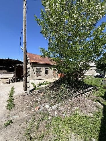 участок на берегу озера: 16 соток, Для строительства, Красная книга, Тех паспорт, Договор купли-продажи — 6