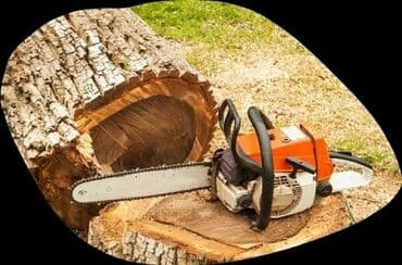 Детские сады, няни: Пилю дрова, небольшие деревья — 1