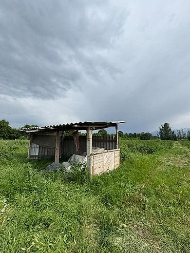 Недвижимость: 155 соток, Для сельского хозяйства — 4