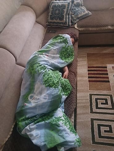 Покрывало/плед с принтом «лебеди и зелёные кроны» - Лёгкий, мягкий