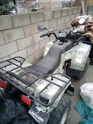 кпп портер 1: Квадроцикл Бензин, 250 куб. см, Взрослый — 1