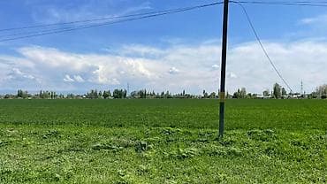 957 соток, Для сельского хозяйства, Договор купли-продажи at lalafo.kg 957 соток, Для сельского хозяйства, Договор купли-продажи