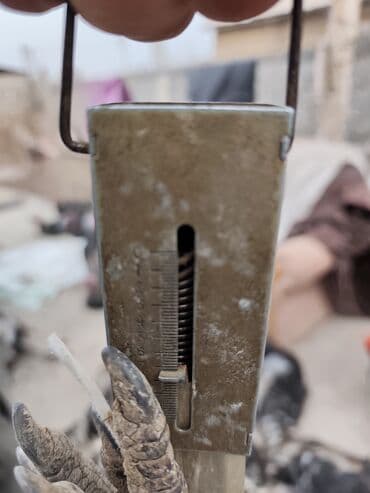 домик для кролика: Продаю | Индюк (самец) | Для разведения — 5