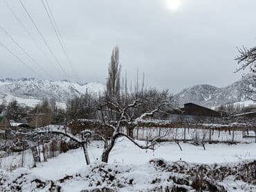 куплю дом тюп: 30 соток, Для строительства, Красная книга — 6