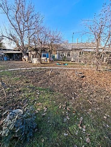 Кыймылсыз мүлк: 10 соток, Курулуш, Кызыл китеп, Техпаспорт, Сатып алуу-сатуу келишими — 8