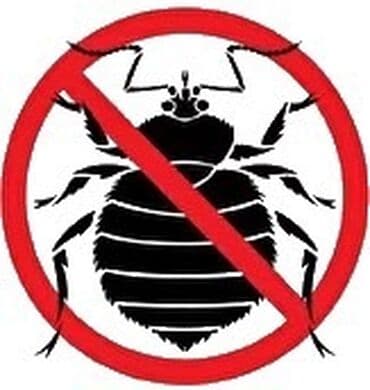 уничтожение клоп блох: Дезинфекция, дезинсекция, | Блохи, Вирусы, микробы, Клопы, | Подвал, погреб, Подъезды, Транспорт — 9