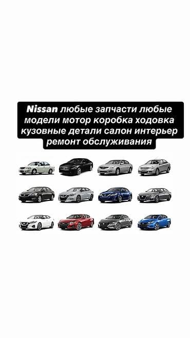 запчасти ниссан терано: Запчасти и обслуживание для Nissan — любые модели - Поставка любых — 1