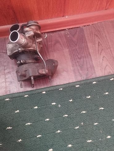 колла: Турбина — 5