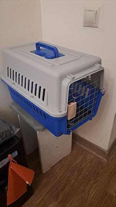 хомяки в бишкеке: Переноски для животных (пластиковые, с металлической решётчатой — 3