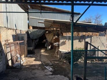 дом в селе манас: Дом, 120 м², 4 комнаты, Собственник, Евроремонт — 4