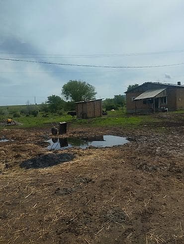город бишкек село ленинское продажа участков: Продается кошара с домом. дом 4 комнаты все удобства в доме. есть — 9