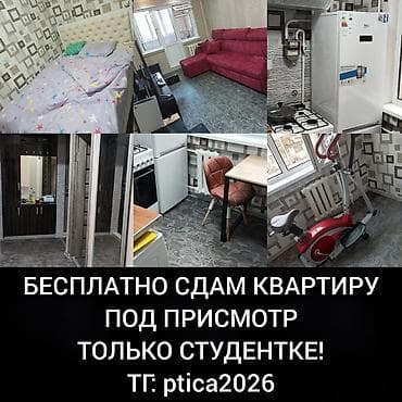2 комнаты, Собственник