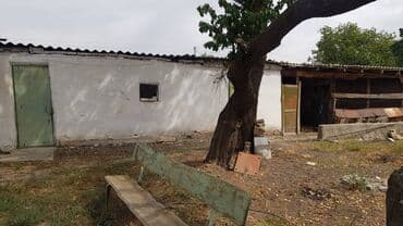 дом на иссык куле: Дом, 73 м², 4 комнаты, Собственник, Старый ремонт — 4