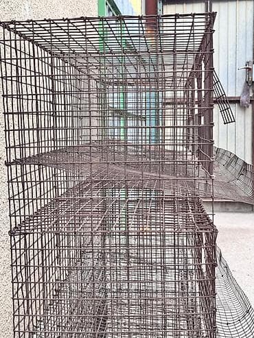 птици: Другая сетка — 4