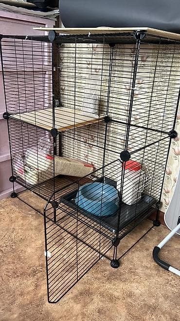 Продаётся клетка для шиншиллы, размеры примерно ?30 см (В×Ш×Г). Клетка